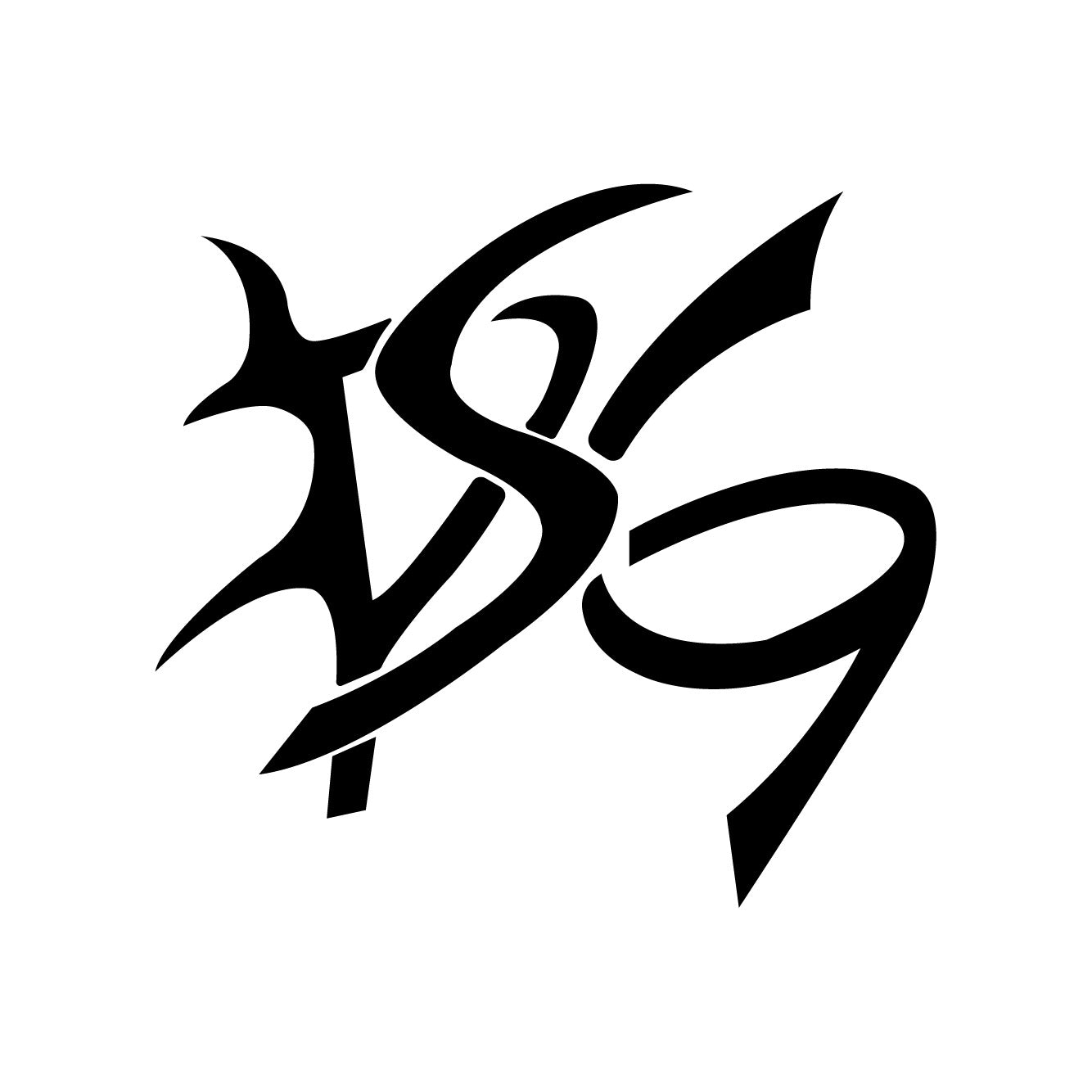 DSG logo sticker