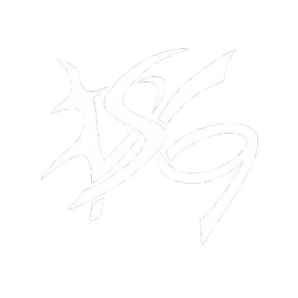 DSG Gallery